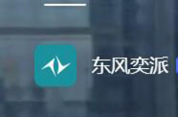 车模